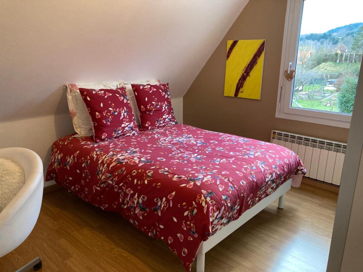 Chez Dina Apartment Lutzelhouse Ngoại thất bức ảnh