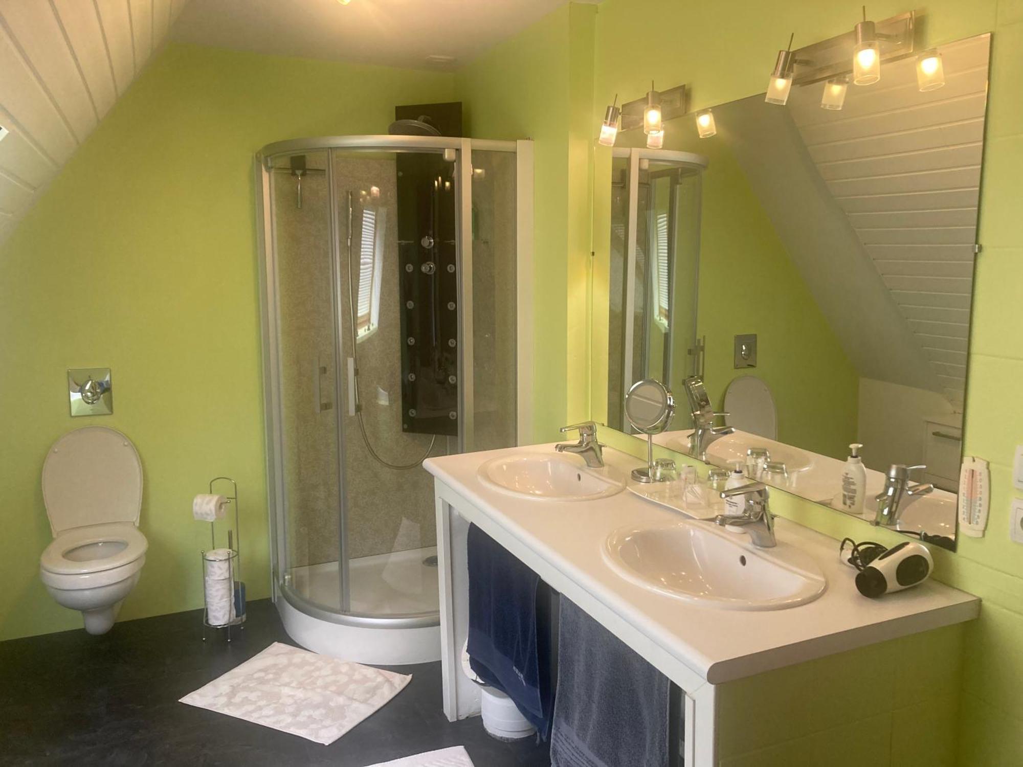 Chez Dina Apartment Lutzelhouse Ngoại thất bức ảnh