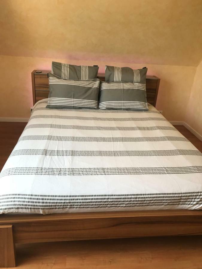 Chez Dina Apartment Lutzelhouse Ngoại thất bức ảnh
